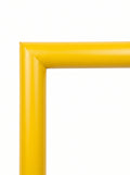 Yellow – P1005