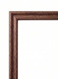 Brown – T1193
