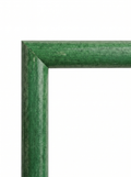 Green – T1004